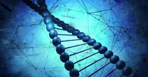Twisting DNA double helix spiraling in digital backdrop with wireframe grid, Stock Photos
