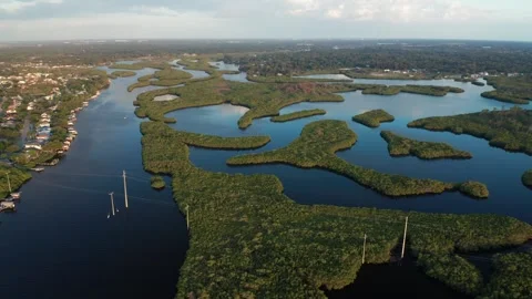 Twisting Mangrove Patterns and Waterways at Dawn Vídeos de archivo 339067229