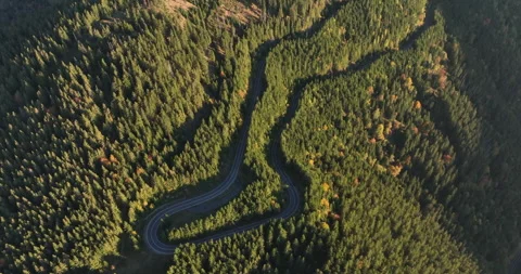 Twisting Mountain Road Surrounded by Forest Stock Footage 305152752