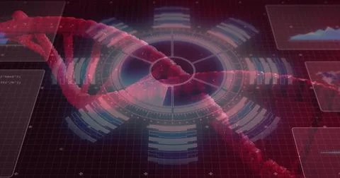 Twisting red-pink DNA double helix moving across virtual lab HUD, showing data 스톡 일러스트