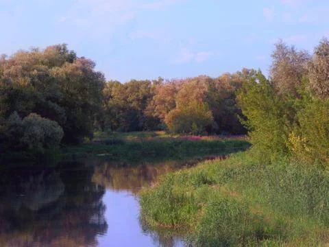 The twisting river flows between trees in the forest. Stock Photos