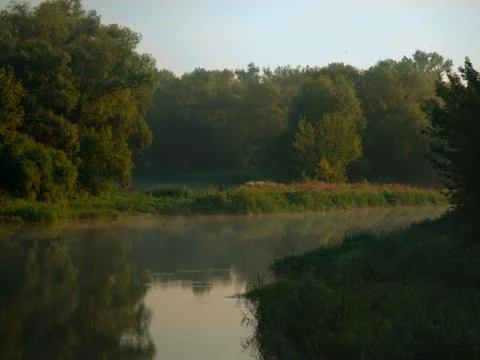 The twisting river flows between trees in the forest. Stock Photos