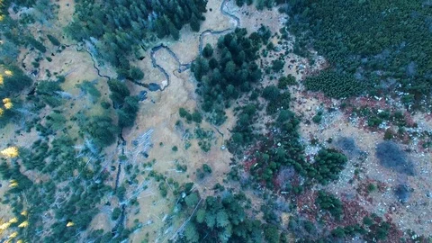 A twisting river in the middle of a forest Stock Footage 101782612