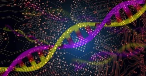 Twisting stylized DNA helix interlacing with circuit traces and glowing node  Stock Illustration