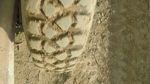 Twisting the wheel of the tractor Stock Footage 146318913