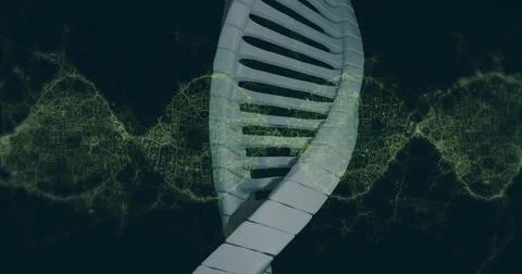 Twisting white 3D DNA helix spiraling in virtual environment, with glowing gr イラスト素材