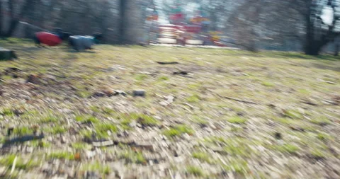 Twitching camera quickly zooms in on two cute dachshund dogs in t-shirts, who Stock Footage 196136014