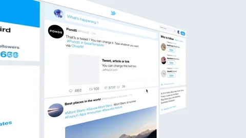 Twitter animated template, comments, followers, social network, 4K Stock After Effects