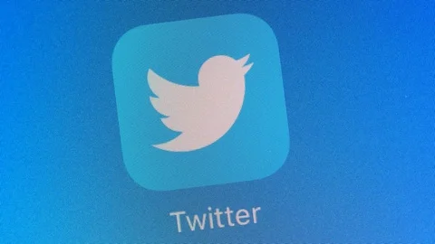 Twitter App Icon Launching On Smartphone Screen 스톡 동영상 77576313