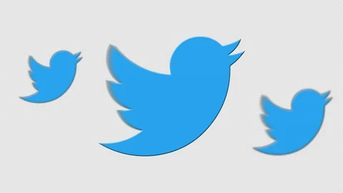 Twitter Birds Flying Alpha Channel | Stock Video | Pond5