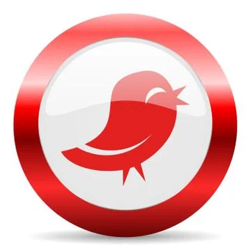 Twitter glossy web icon Stock Illustration