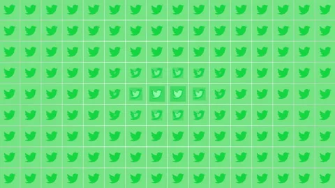 Twitter green icons pattern on social network background Stock Footage 195507602