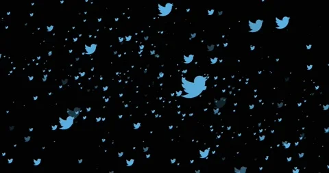 Twitter icon animated video Stock Footage 233491004