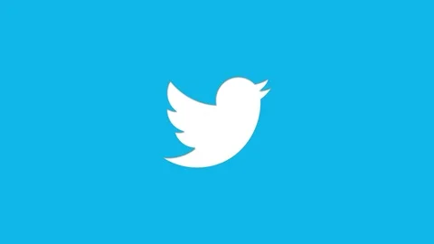 Twitter Logo Cut Out Stock Footage 105377188