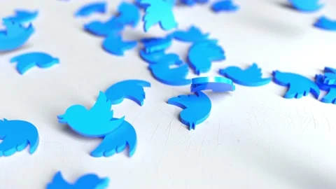 Twitter Logo Drop Vídeos de archivo 143565819