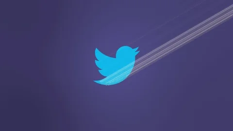 Twitter Logo Light Reveal Stock Footage 104739020