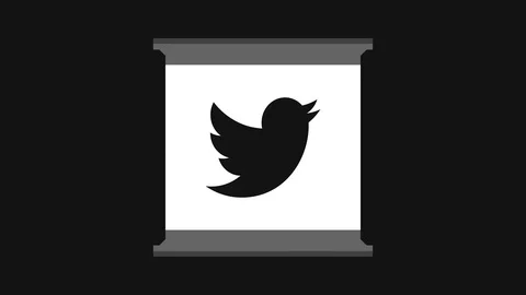Twitter logo motion infographic Stock Footage 107078040