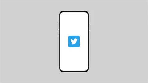 Twitter logo on smartphone display Stock Footage 245560859