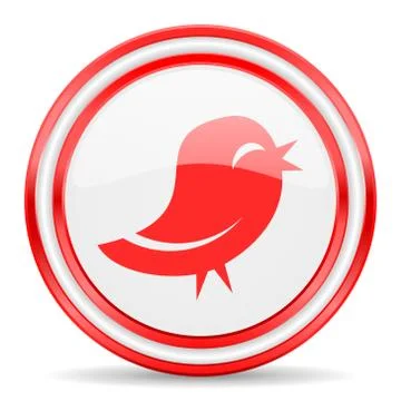 Twitter red white glossy web icon Stock Illustration
