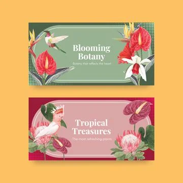 Twitter template with tropical botany concept, watercolor style 库存插图