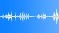 Twittery birds Sound Effect