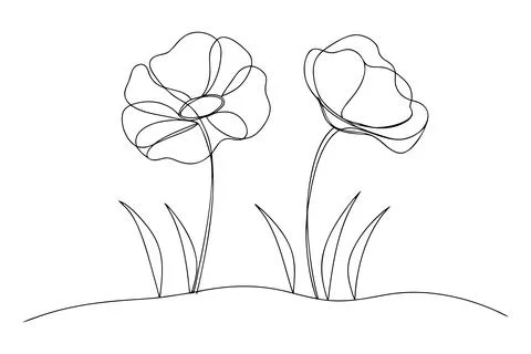 Two abstract flowers with grass in continuous line drawing style Stock-Illustration