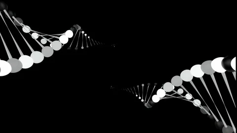 Two Abstract forms in motion, shaped like DNA Stock Footage 105288616