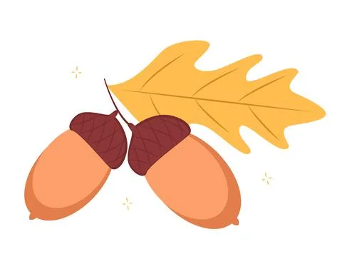 Two acorns Stock Illustration