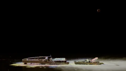Two activated mousetraps and colored powder, Ultra Slow Motion 스톡 동영상 86576814