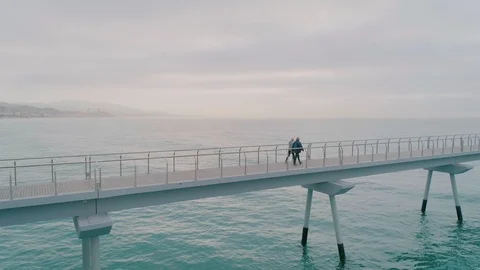 Two active senior men on morning walk on pier Stock-Footage 102306702