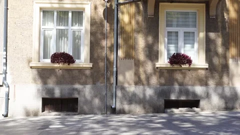 Two adjacent windows of a building, each decorated with potted plants Stock Footage 317672318
