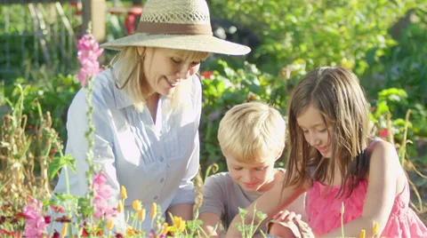Two adorable kids sit and learn how to plant flowers with their grandmother Stock Footage 34009586