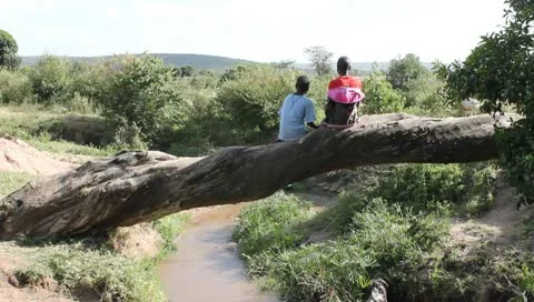 Two African Boys Sitting on Fallen Tree Above Stream Stock Footage