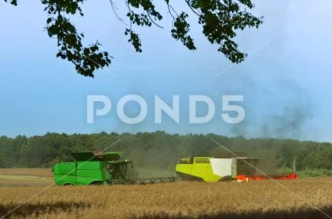 Two agricultural machines operate in the field, grain harvesting machines ope Stock Photos