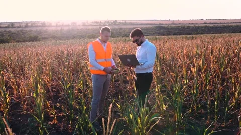 Two agronomists and a laptop Stock Footage 140043528