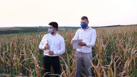 Two agronomists discuss a new type of irrigation system in a cornfield. Video stock 140282305