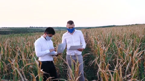 Two agronomists discuss a new type of irrigation system in a cornfield. Video stock 140282393