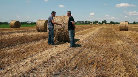 Two Agronomists at Work Time Lapse Stock Footage 30365613