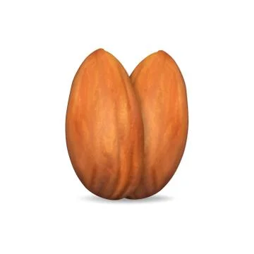 Two almonds Stock Illustration