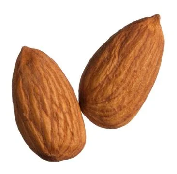 Two almonds isolated on white background Stock Photos