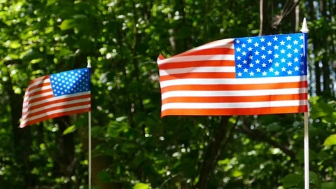   Two American Flags in slow motion close up sunny scene. Green leaves backgroun Stock-Footage 92722224