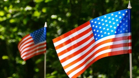   Two  American Flags in slow motion close up sunny wood. Stock Footage 93460749