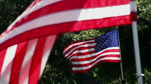 Two American Flags waving in the wind in front of green trees, morning sun Stock Footage 41457272