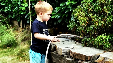 Two and half year old blond boy is watering the plants in the yard with a hose.  Stock Footage 105011372