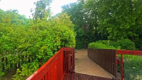 Two animals that are standing. Video stock 282622481