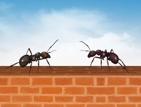 Two ants on the wall Stock Illustration