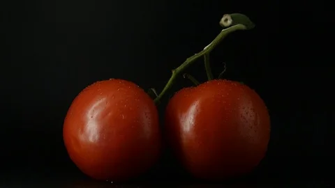 Two appetizing ripe tomatoes on a mirror black background. Rotating table 動画素材 108908716
