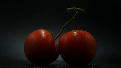 Two appetizing ripe tomatoes on a mirror black background. Rotating table 動画素材 108909035