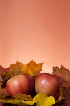 Two apples Stock Photos