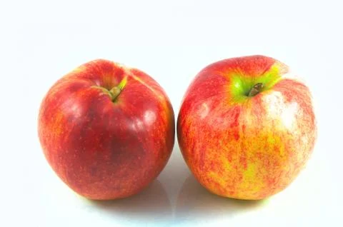 Two apples Stock Photos